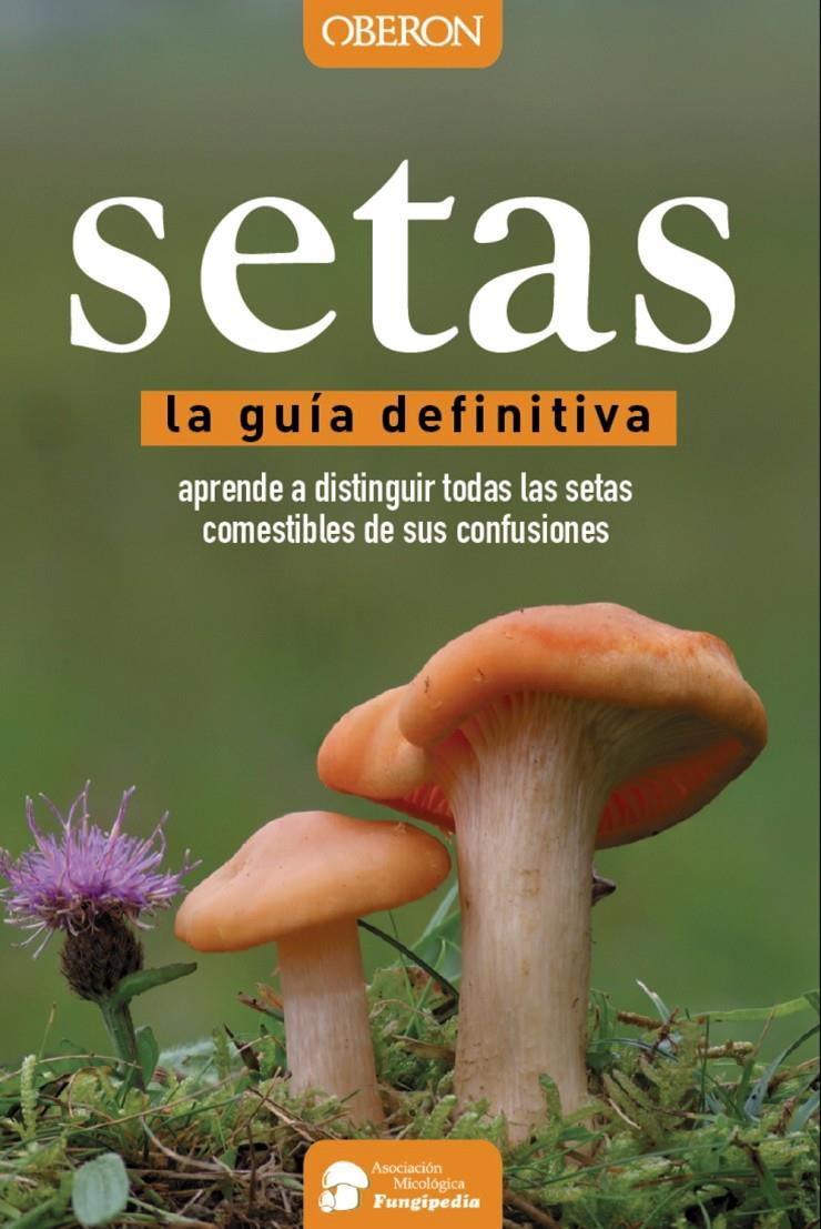 SETAS. LA GUIA DEFINITIVA | 9788441537842 | CALVO PÉREZ, AITOR/CALVO PÉREZ, JAVIER/ROMÁN ECHEVARRÍA, JUAN ANDRÉS/IBARRETXE IRAGORRI, RICARDO | Galatea Llibres | Llibreria online de Reus, Tarragona | Comprar llibres en català i castellà online