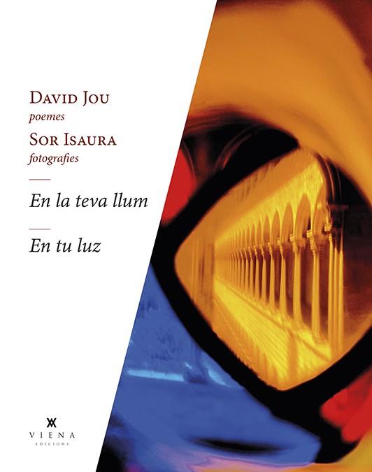 EN LA TEVA LLUM - EN TU LUZ | 9788418908262 | JOU MIRABENT, DAVID | Galatea Llibres | Librería online de Reus, Tarragona | Comprar libros en catalán y castellano online