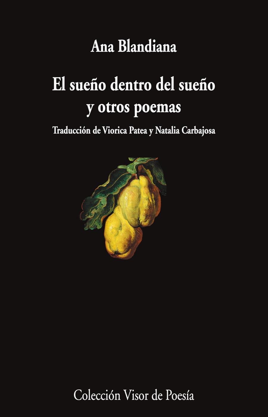 EL SUEÑO DENTRO DEL SUEÑO Y OTROS POEMAS | 9788498955132 | BLANDIANA, ANA | Galatea Llibres | Llibreria online de Reus, Tarragona | Comprar llibres en català i castellà online