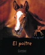 POLTRE, EL | 9788478642151 | MARIE, CHRISTIAN | Galatea Llibres | Librería online de Reus, Tarragona | Comprar libros en catalán y castellano online