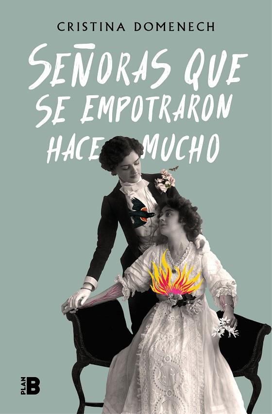 SEÑORAS QUE SE EMPOTRARON HACE MUCHO | 9788417001933 | DOMENECH, CRISTINA | Galatea Llibres | Llibreria online de Reus, Tarragona | Comprar llibres en català i castellà online