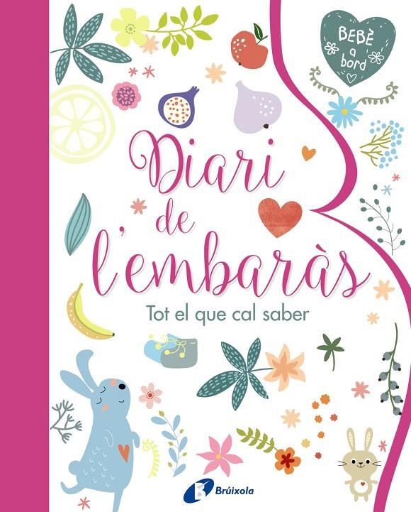 DIARI DE L'EMBARAS  TOT EL QUE CAL SABER | 9788499067797 | Galatea Llibres | Llibreria online de Reus, Tarragona | Comprar llibres en català i castellà online