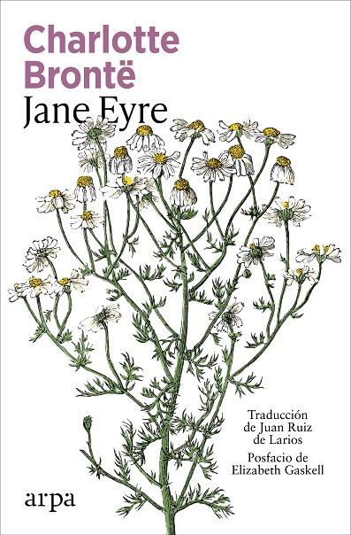 JANE EYRE | 9791387833947 | BRONTË, CHARLOTTE | Galatea Llibres | Llibreria online de Reus, Tarragona | Comprar llibres en català i castellà online