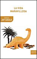 VIDA MARAVILLOSA, LA | 9788484328049 | JAY GOULD, STEPHEN | Galatea Llibres | Llibreria online de Reus, Tarragona | Comprar llibres en català i castellà online