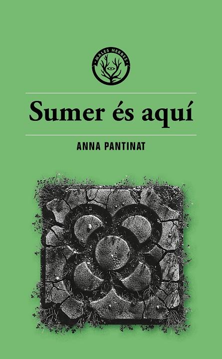 SUMER ÉS AQUÍ | 9791399014686 | PANTINAT, ANNA | Galatea Llibres | Librería online de Reus, Tarragona | Comprar libros en catalán y castellano online