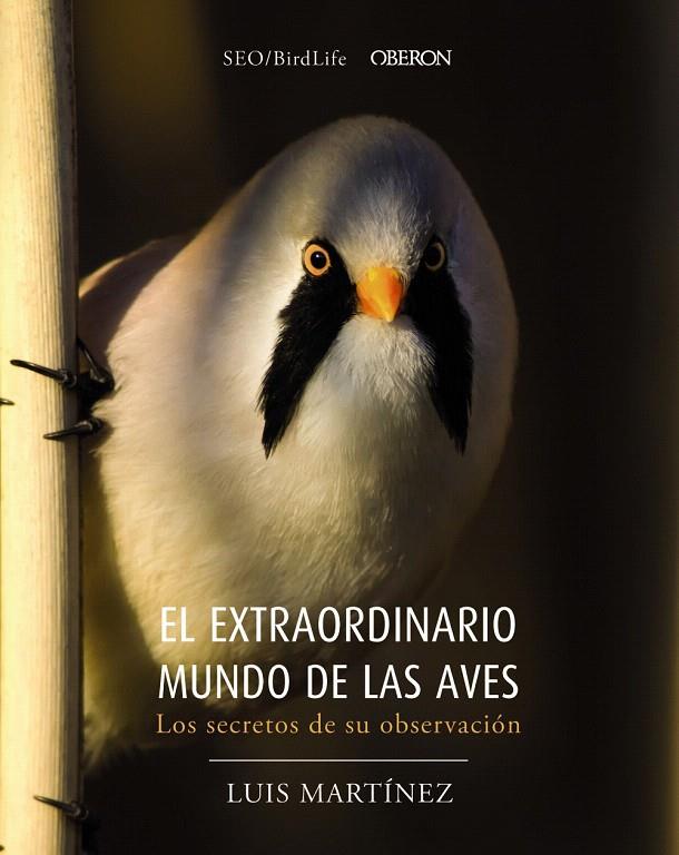EL EXTRAORDINARIO MUNDO DE LAS AVES | 9788441540330 | SOCIEDAD ESPAÑOLA DE ORNITOLOGÍA | Galatea Llibres | Llibreria online de Reus, Tarragona | Comprar llibres en català i castellà online