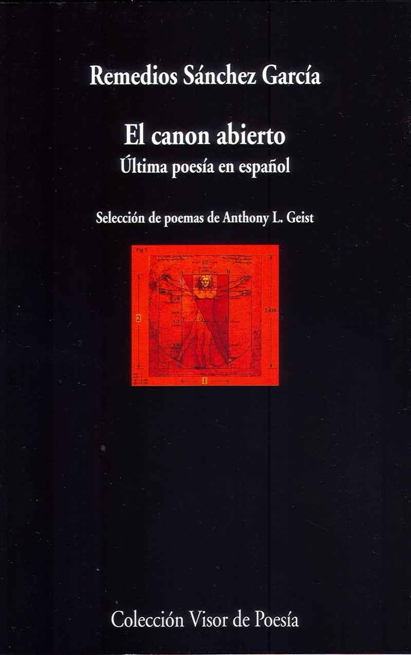 EL CANON ABIERTO | 9788498959086 | SÁNCHEZ GARCÍA, REMEDIOS | Galatea Llibres | Llibreria online de Reus, Tarragona | Comprar llibres en català i castellà online