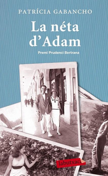 LA NÉTA D'ADAM | 9788499307282 | GABANCHO, PATRICIA | Galatea Llibres | Librería online de Reus, Tarragona | Comprar libros en catalán y castellano online