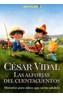 ALFORJAS DEL CUENTACUENTOS, LAS | 9788496088412 | VIDAL, CESAR | Galatea Llibres | Llibreria online de Reus, Tarragona | Comprar llibres en català i castellà online