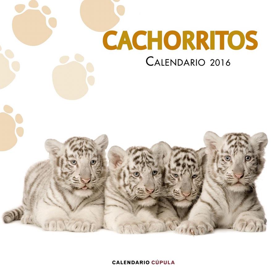 CALENDARIO CACHORRITOS 2016 | 9788448021733 | Galatea Llibres | Librería online de Reus, Tarragona | Comprar libros en catalán y castellano online