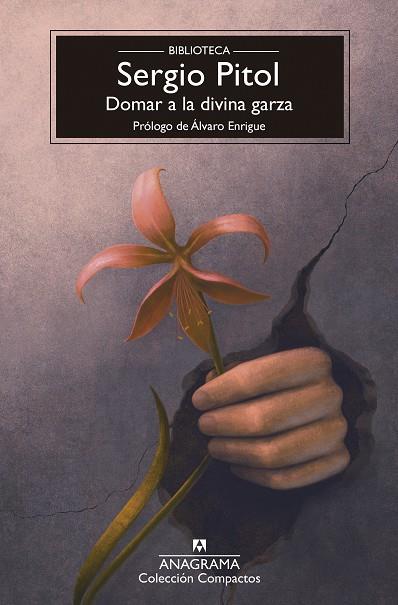 DOMAR A LA DIVINA GARZA | 9788433950987 | PITOL, SERGIO | Galatea Llibres | Librería online de Reus, Tarragona | Comprar libros en catalán y castellano online