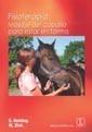 FISIOTERAPIA: MASAJE DEL CABALLO PARA ESTAR EN FORMA | 9788420011097 | BEHLING Y M. ZINK | Galatea Llibres | Librería online de Reus, Tarragona | Comprar libros en catalán y castellano online