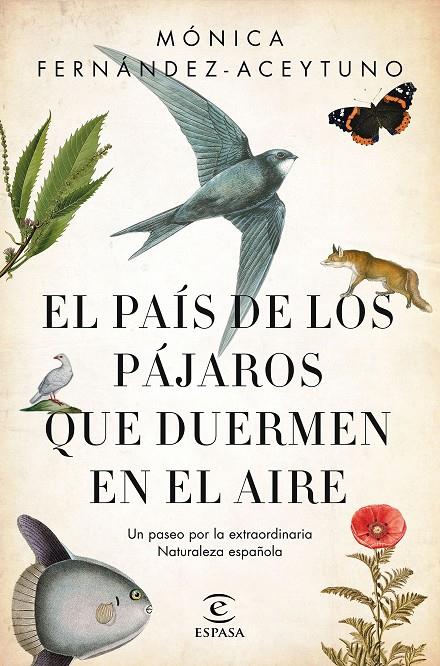 EL PAíS DE LOS PáJAROS QUE DUERMEN EN EL AIRE | 9788467051469 | FERNÁNDEZ-ACEYTUNO, MÓNICA | Galatea Llibres | Llibreria online de Reus, Tarragona | Comprar llibres en català i castellà online
