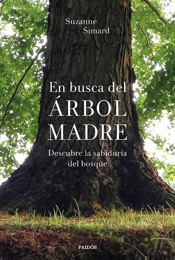 EN BUSCA DEL ÁRBOL MADRE | 9788449338311 | SIMARD, SUZANNE | Galatea Llibres | Librería online de Reus, Tarragona | Comprar libros en catalán y castellano online