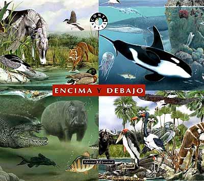 ENCIMA Y DEBAJO | 9788426136176 | BERTOLUCCI - CUCCHIARINI | Galatea Llibres | Librería online de Reus, Tarragona | Comprar libros en catalán y castellano online
