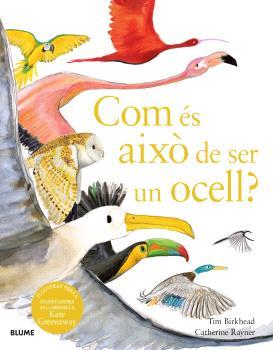 COM ÉS AIXÒ DE SER UN OCELL? | 9788410048102 | BIRKHEAD, TIM/RAYNER, CATHERINE | Galatea Llibres | Llibreria online de Reus, Tarragona | Comprar llibres en català i castellà online