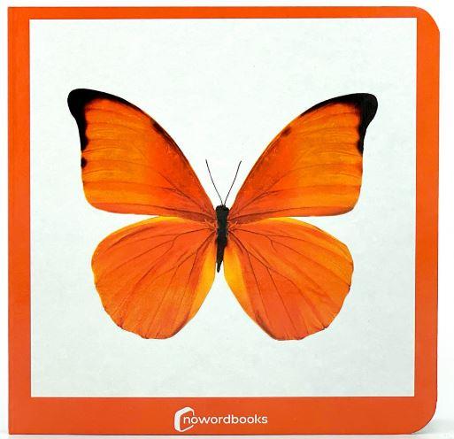 NARANJA | 9788412534443 | Galatea Llibres | Librería online de Reus, Tarragona | Comprar libros en catalán y castellano online