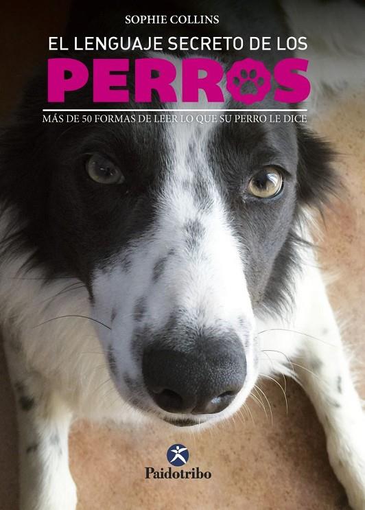 EL LENGUAJE SECRETO DE LOS PERROS | 9788499106656 | COLLINS, SOPHIE | Galatea Llibres | Librería online de Reus, Tarragona | Comprar libros en catalán y castellano online