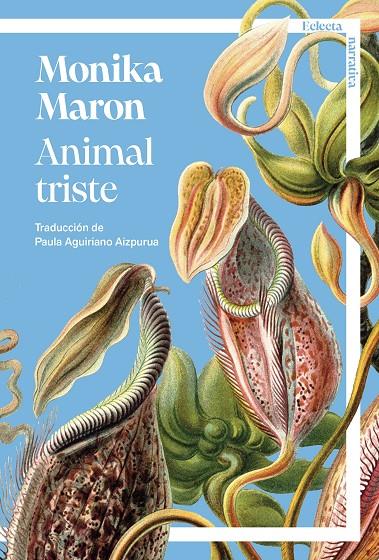 ANIMAL TRISTE | 9791387933081 | MARON, MONIKA | Galatea Llibres | Llibreria online de Reus, Tarragona | Comprar llibres en català i castellà online