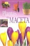 PLANTAS EN MACETA | 9788430567584 | Galatea Llibres | Llibreria online de Reus, Tarragona | Comprar llibres en català i castellà online