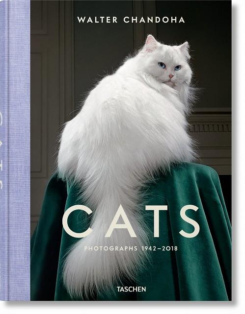 CATS. PHOTOGRAPHS 1942–2018 | 9783836573856 | CHANDOHA, WALTER | Galatea Llibres | Llibreria online de Reus, Tarragona | Comprar llibres en català i castellà online