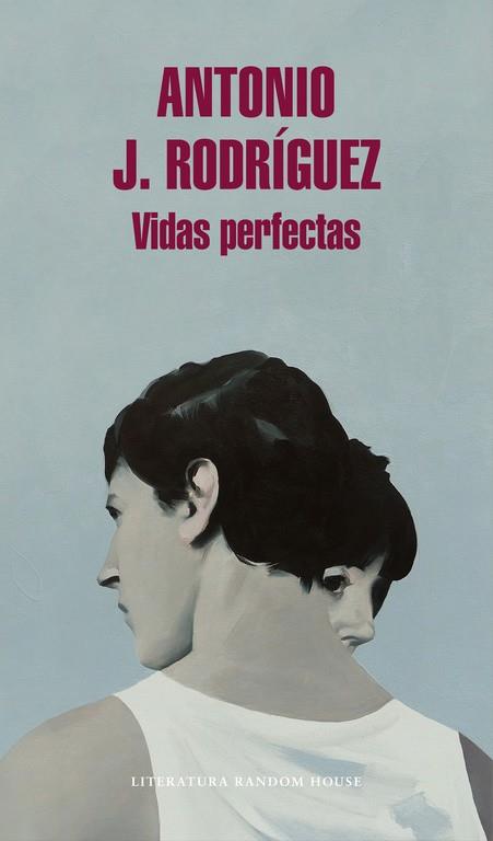 VIDAS PERFECTAS | 9788439732891 | RODRÍGUEZ, ANTONIO | Galatea Llibres | Llibreria online de Reus, Tarragona | Comprar llibres en català i castellà online