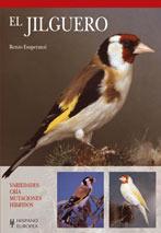 JILGUERO, EL | 9788425518713 | ESUPERANZI, ENZO | Galatea Llibres | Librería online de Reus, Tarragona | Comprar libros en catalán y castellano online