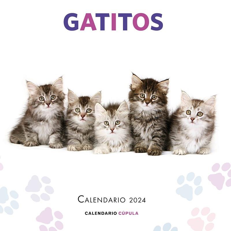 CALENDARIO GATITOS 2024 | 9788448038076 | Galatea Llibres | Librería online de Reus, Tarragona | Comprar libros en catalán y castellano online