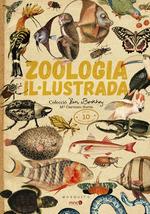 ZOOLOGIA IL·LUSTRADA | 9788412033205 | SORIA, CARMEN | Galatea Llibres | Llibreria online de Reus, Tarragona | Comprar llibres en català i castellà online