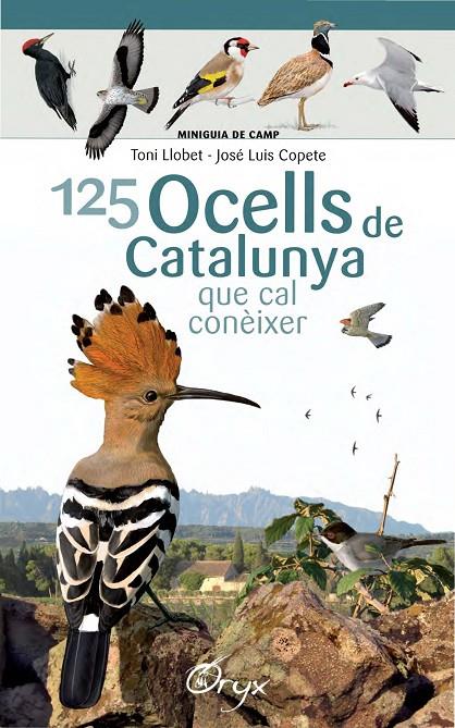 125 OCELLS DE CATALUNYA QUE CAL CONÈIXER (MINIGUIES DE CAMP) | 9788490346747 | LLOBET FRANçOIS, TONI/COPETE, JOSé LUIS | Galatea Llibres | Librería online de Reus, Tarragona | Comprar libros en catalán y castellano online
