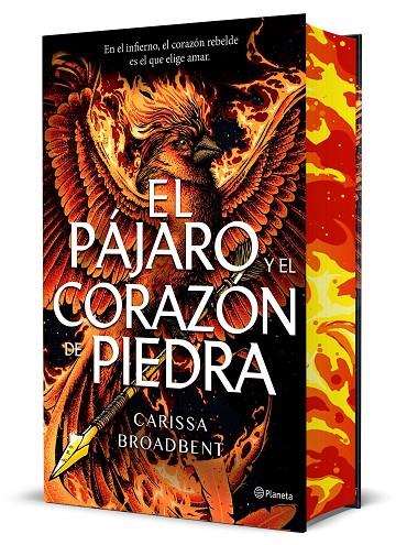 EL PÁJARO Y EL CORAZÓN DE PIEDRA (EDICIÓN DELUXE) | 9788408314288 | BROADBENT, CARISSA | Galatea Llibres | Llibreria online de Reus, Tarragona | Comprar llibres en català i castellà online