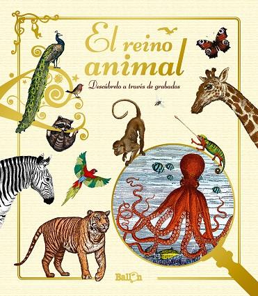 EL REINO ANIMAL | 9789463075213 | Galatea Llibres | Librería online de Reus, Tarragona | Comprar libros en catalán y castellano online