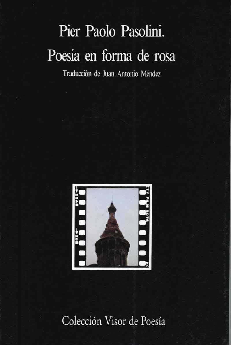 POESIA EN FORMA DE ROSA | 9788475221632 | PASOLINI, PIER PAOLO | Galatea Llibres | Librería online de Reus, Tarragona | Comprar libros en catalán y castellano online