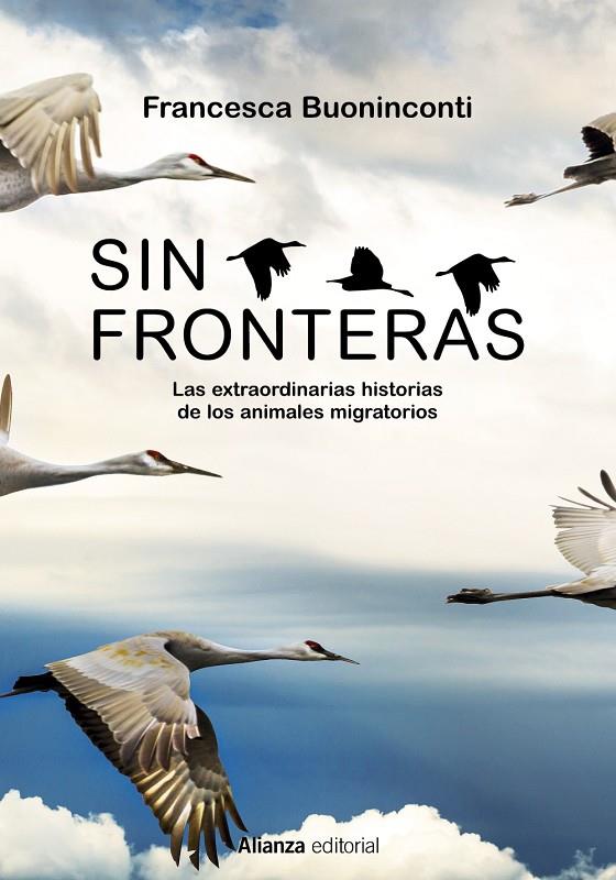 SIN FRONTERAS | 9788413625300 | BUONINCONTI, FRANCESCA | Galatea Llibres | Llibreria online de Reus, Tarragona | Comprar llibres en català i castellà online