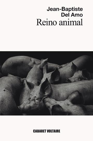 REINO ANIMAL | 9788494710827 | DEL AMO, JEAN-BAPTISTE | Galatea Llibres | Librería online de Reus, Tarragona | Comprar libros en catalán y castellano online