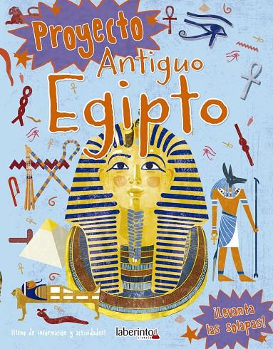 PROYECTO ANTIGUO EGIPTO | 9788413300078 | ADAMS, SIMON | Galatea Llibres | Librería online de Reus, Tarragona | Comprar libros en catalán y castellano online