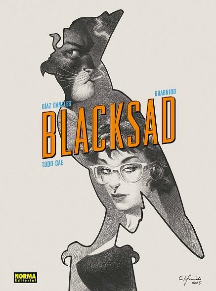 BLACKSAD 6. TODO CAE. EDICIÓN 25 ANIVERSARIO | 9788467980165 | JUAN DIAZ CANALES-JUANJO GUARN | Galatea Llibres | Llibreria online de Reus, Tarragona | Comprar llibres en català i castellà online