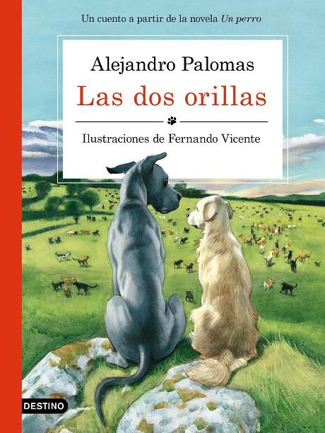 LAS DOS ORILLAS | 9788423351671 | PALOMAS, ALEJANDRO / FERNANDO VICENTE SÁNCHEZ | Galatea Llibres | Llibreria online de Reus, Tarragona | Comprar llibres en català i castellà online