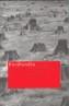 FORDLANDIA NT-42 | 9788478448210 | SGUIGLIA, EDUARDO | Galatea Llibres | Librería online de Reus, Tarragona | Comprar libros en catalán y castellano online