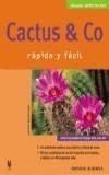 CACTUS & CO. RAPIDO Y FACIL | 9788425514814 | BECHERER, FRANZ | Galatea Llibres | Librería online de Reus, Tarragona | Comprar libros en catalán y castellano online