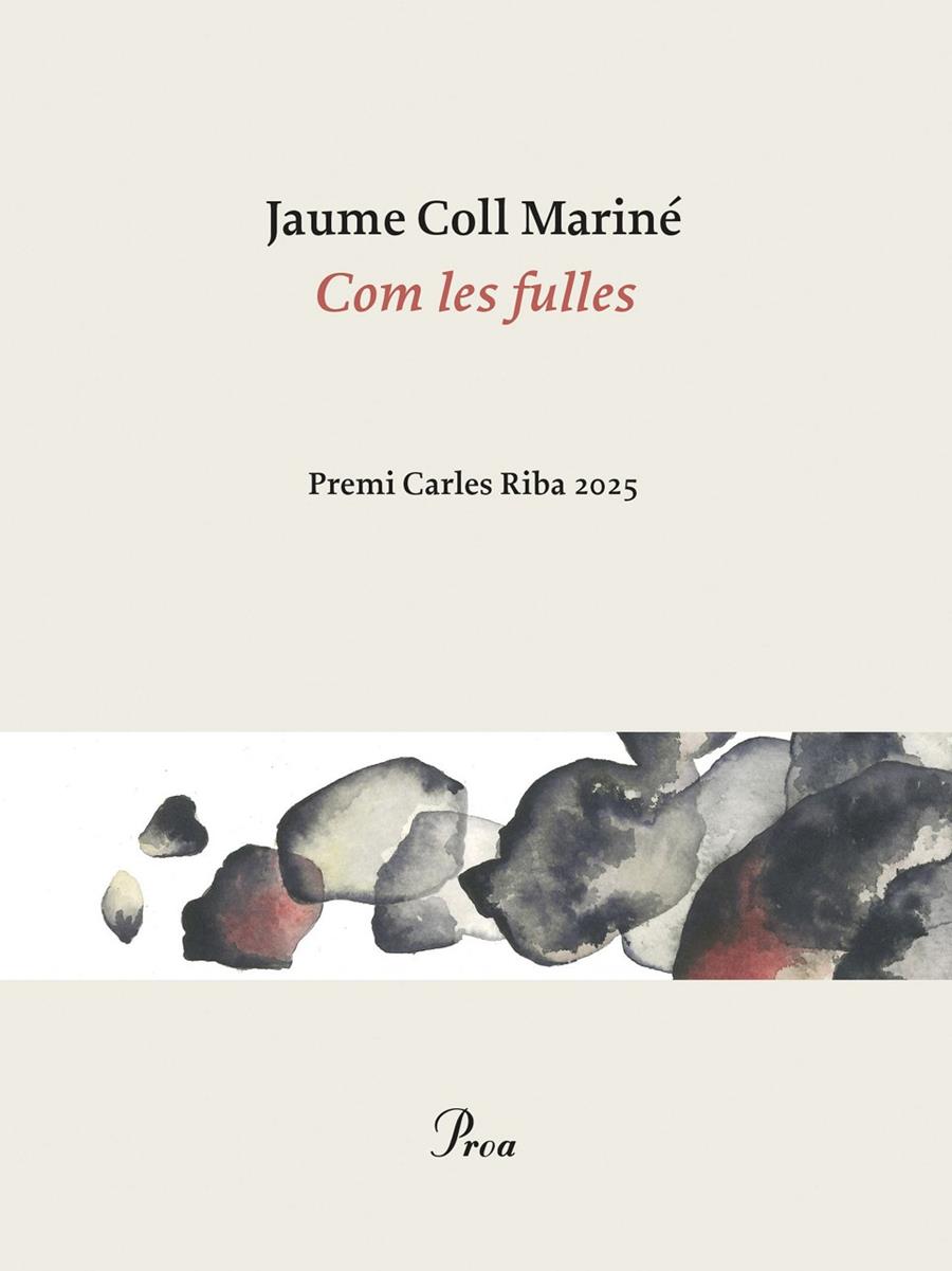 COM LES FULLES | 9788410488861 | COLL MARINÉ, JAUME | Galatea Llibres | Llibreria online de Reus, Tarragona | Comprar llibres en català i castellà online