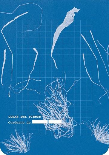 COSAS DEL VIENTO | 9788418690761 | ANÓNIMO | Galatea Llibres | Llibreria online de Reus, Tarragona | Comprar llibres en català i castellà online