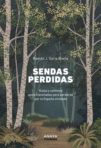 SENDAS PERDIDAS | 9788491588948 | SORIA BREÑA, RAMÓN J. | Galatea Llibres | Librería online de Reus, Tarragona | Comprar libros en catalán y castellano online