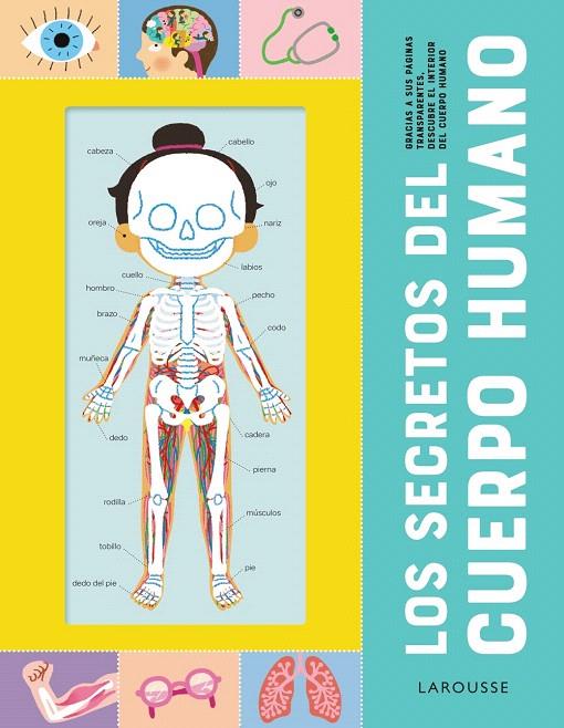 LOS SECRETOS DEL CUERPO HUMANO | 9788418473210 | Galatea Llibres | Llibreria online de Reus, Tarragona | Comprar llibres en català i castellà online