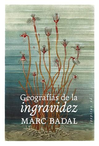 GEOGRAFÍAS DE LA INGRAVIDEZ | 9788418998669 | BADAL, MARC | Galatea Llibres | Librería online de Reus, Tarragona | Comprar libros en catalán y castellano online