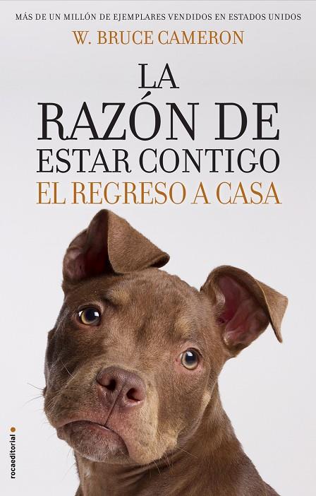 LA RAZÓN DE ESTAR CONTIGO. EL REGRESO A CASA | 9788417092887 | CAMERON, W. BRUCE | Galatea Llibres | Librería online de Reus, Tarragona | Comprar libros en catalán y castellano online