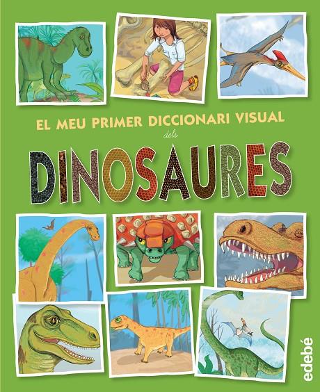 EL MEU PRIMER DICCIONARI VISUAL DELS DINOSAURES | 9788468321233 | VV. AA | Galatea Llibres | Llibreria online de Reus, Tarragona | Comprar llibres en català i castellà online