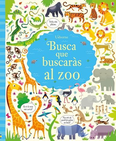 BUSCA QUE BUSCARÀS AL ZOO | 9781474940825 | ROBSON, KIRSTEEN | Galatea Llibres | Llibreria online de Reus, Tarragona | Comprar llibres en català i castellà online