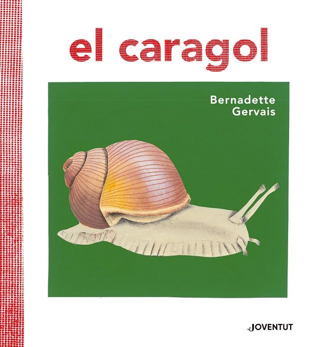 EL CARAGOL | 9788426145680 | GERVAIS, BERNADETTE | Galatea Llibres | Llibreria online de Reus, Tarragona | Comprar llibres en català i castellà online