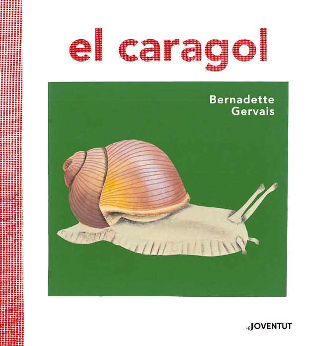EL CARAGOL | 9788426145680 | GERVAIS, BERNADETTE | Galatea Llibres | Librería online de Reus, Tarragona | Comprar libros en catalán y castellano online
